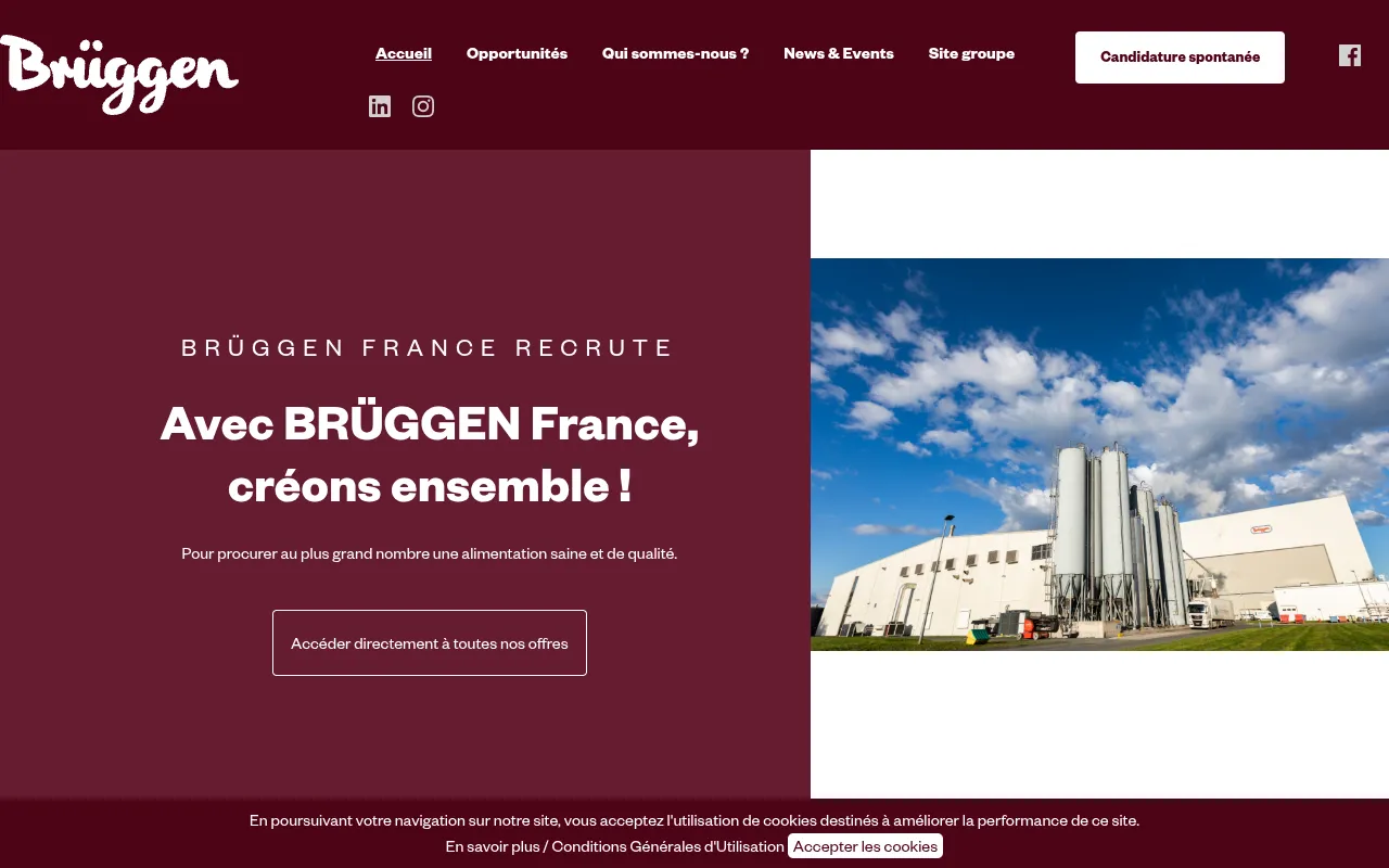 Capture de la page d'accueil — Brüggen France — recrutement